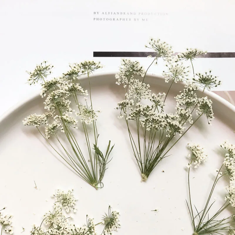 5-7cm/12pcs,Snow Tiny Flowers  - Craft Embellishment recension och pris