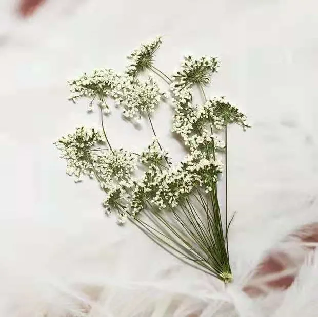 5-7cm/12pcs,Snow Tiny Flowers  - Craft Embellishment recension och pris